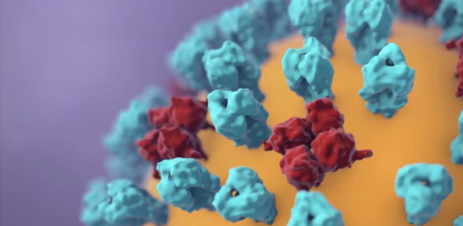 Photo from youtube: Nucleus Medical Media