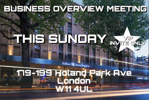 BUSINESS OVERVIEW MEETING VIP