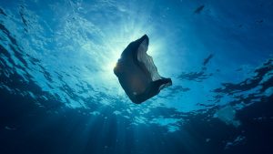 ocean_waste