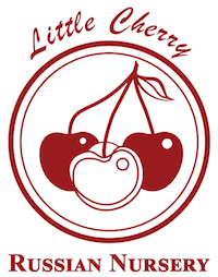 Little Cherry bordo eng-eng