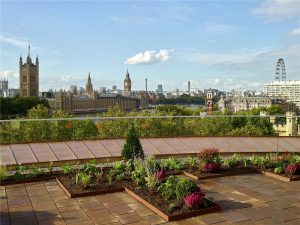 Palace View