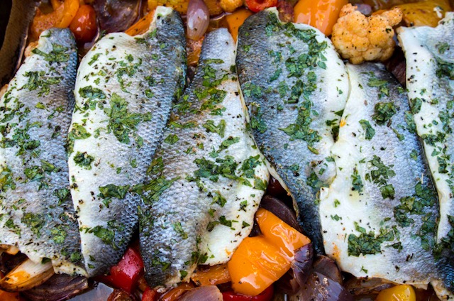 fish_cook
